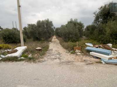 Dopo aver proseguito per altri 150 metri bisogna fermarsi e aguzzare la vista sulla propria destra, perch� in fondo a una lunga e stretta stradina sterrata, circondata da alberi e verde incolto, si trova la nostra masseria
